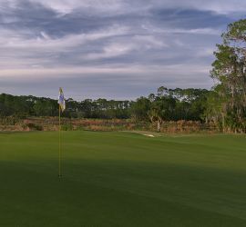 Walt Disney Golf Magnolia Course 161